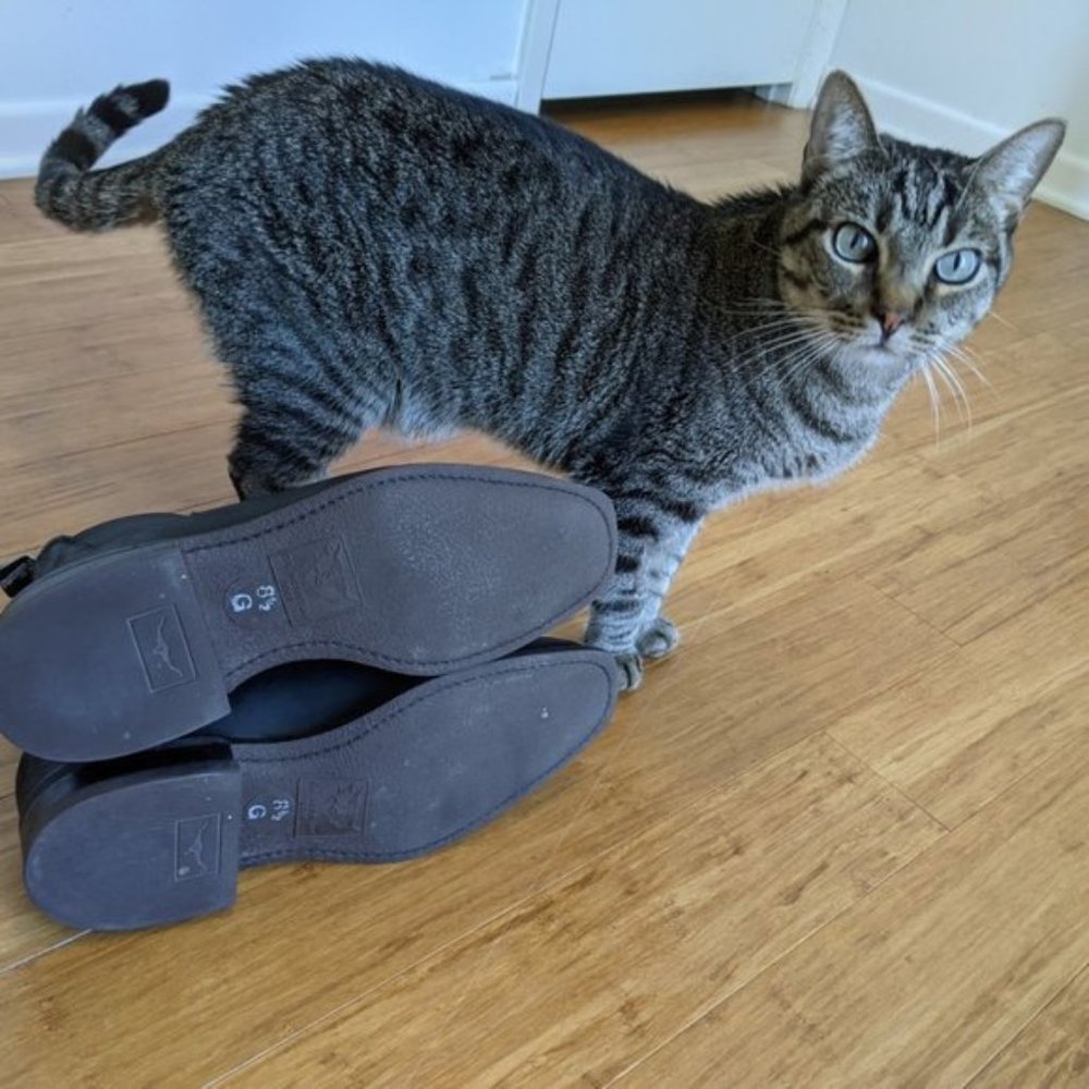 Meet your Posher, R. - Picture 10 of 11